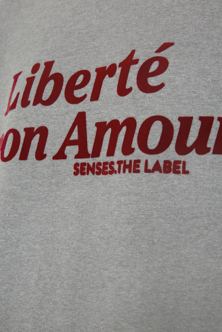 Sweatshirt Oversized mit Flockprint