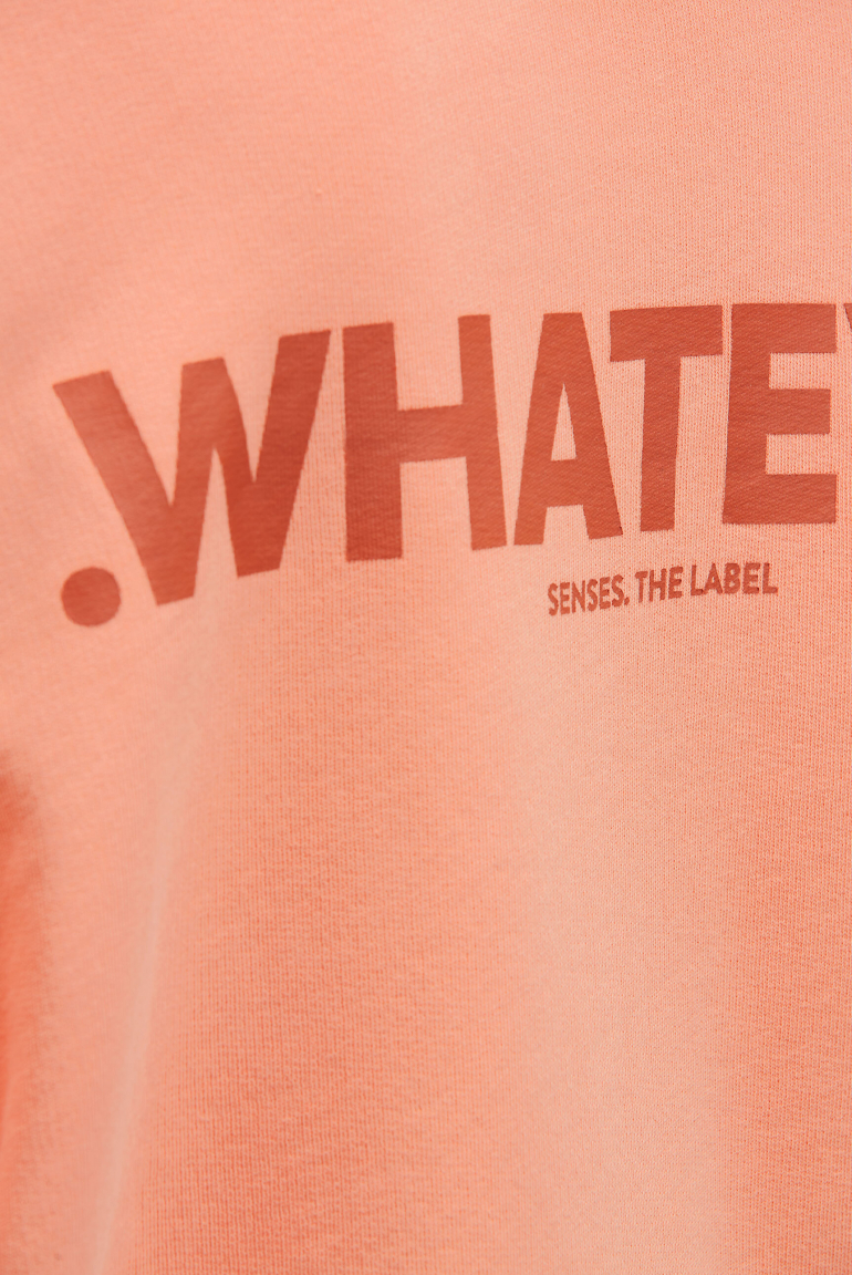 Sweatshirt STAR:LIGHT mit gewaschener Optik und Backprint